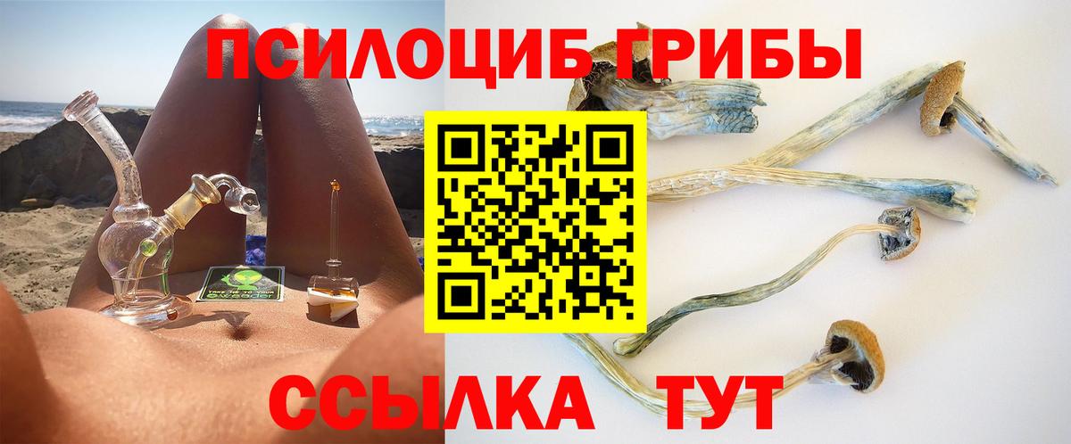 Ачхой-Мартан  Псилоцибиновые грибы ЛСД  купить наркотики цена  Вход с VPN 